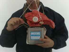 ������½����-����(�й�)�Ծ���